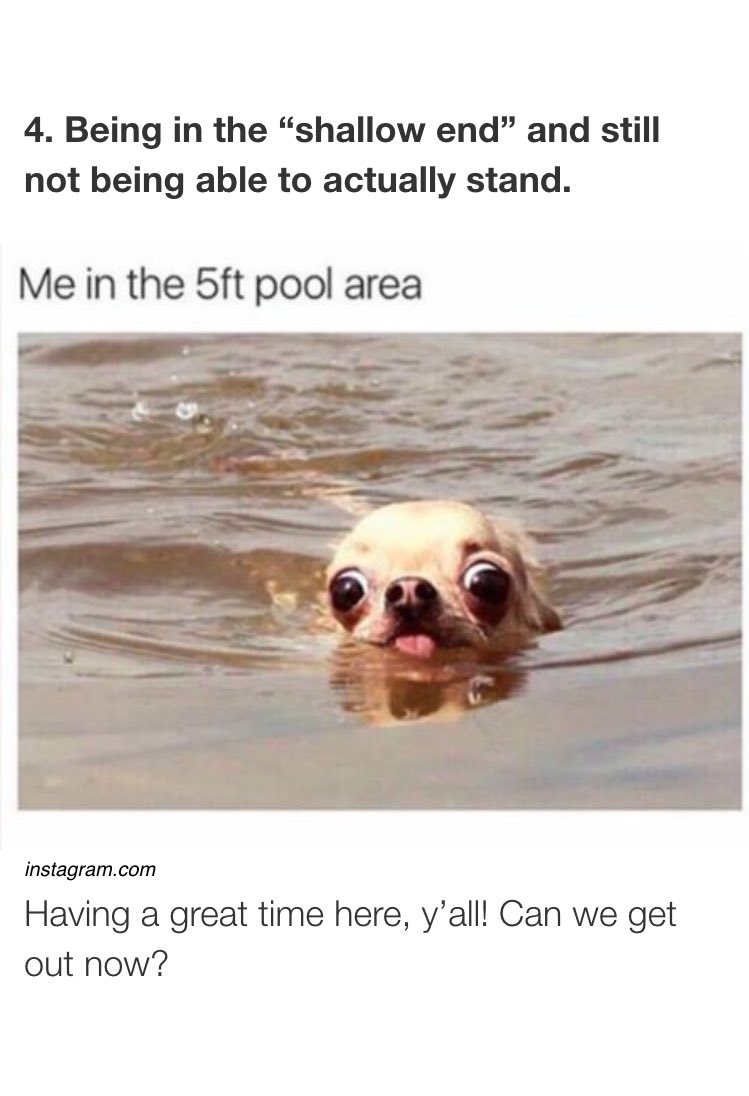 dutchmichelle's tweet image. these are so accurate #shortproblems