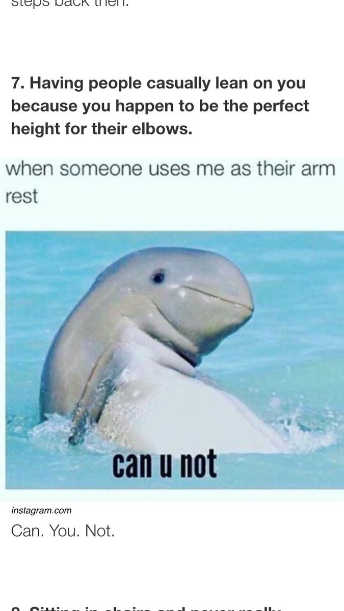 dutchmichelle's tweet image. these are so accurate #shortproblems