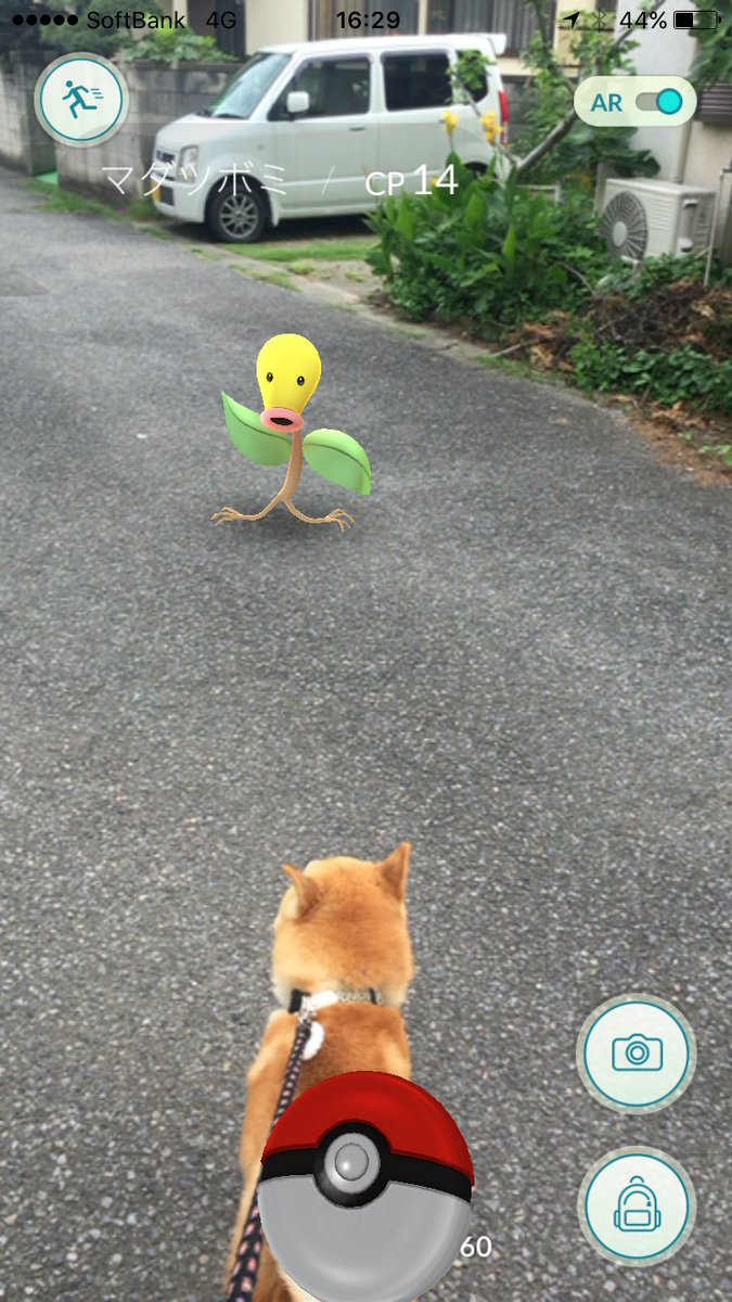 takatada61's tweet photo. なんだコイツ⁈
＃ポケモンGO https://t.co/ZqGANU3zUc