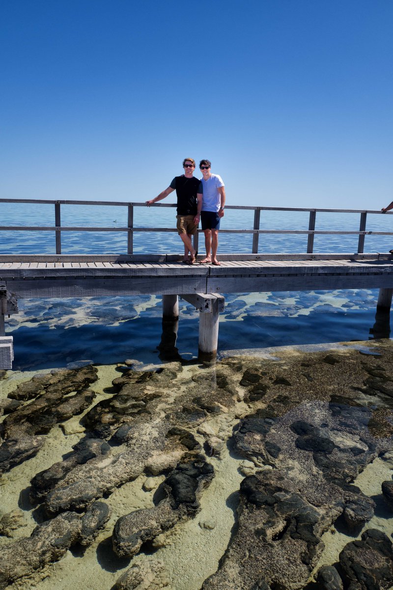 hayden_quinn's tweet photo. #STMnextgen on air now @ABCTV #hamelinpool a real highlight for me and somewhere I had always wanted to visit : ) https://t.co/YK50ONTrOQ