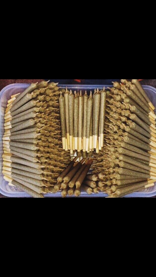 ShatterTimes_'s tweet photo. 😚💨 https://t.co/HbIxwI12KX