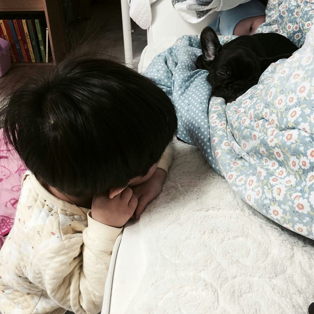 Tuesd913's tweet photo. If you are sad, please look at this. #ruru__gram 😁❤ https://t.co/zXl3vIeHpC