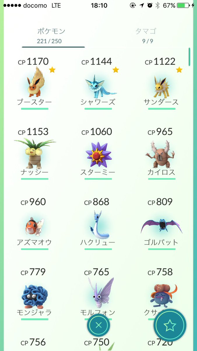 紅茶 イーブイ進化系全部できた