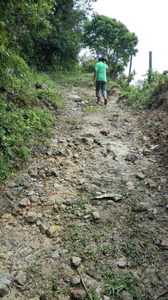 CortesAlba's tweet photo. @inteduca vías en mal estado, niños estudiantes y trabajadores del campo, con ganas de superarse, saludos https://t.co/trsg2RTgxl