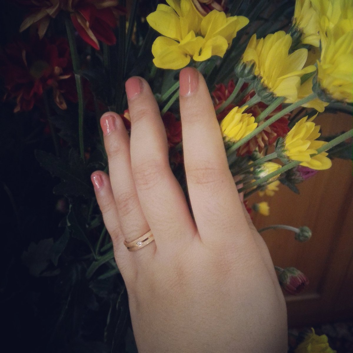 diska_mon tweet picture