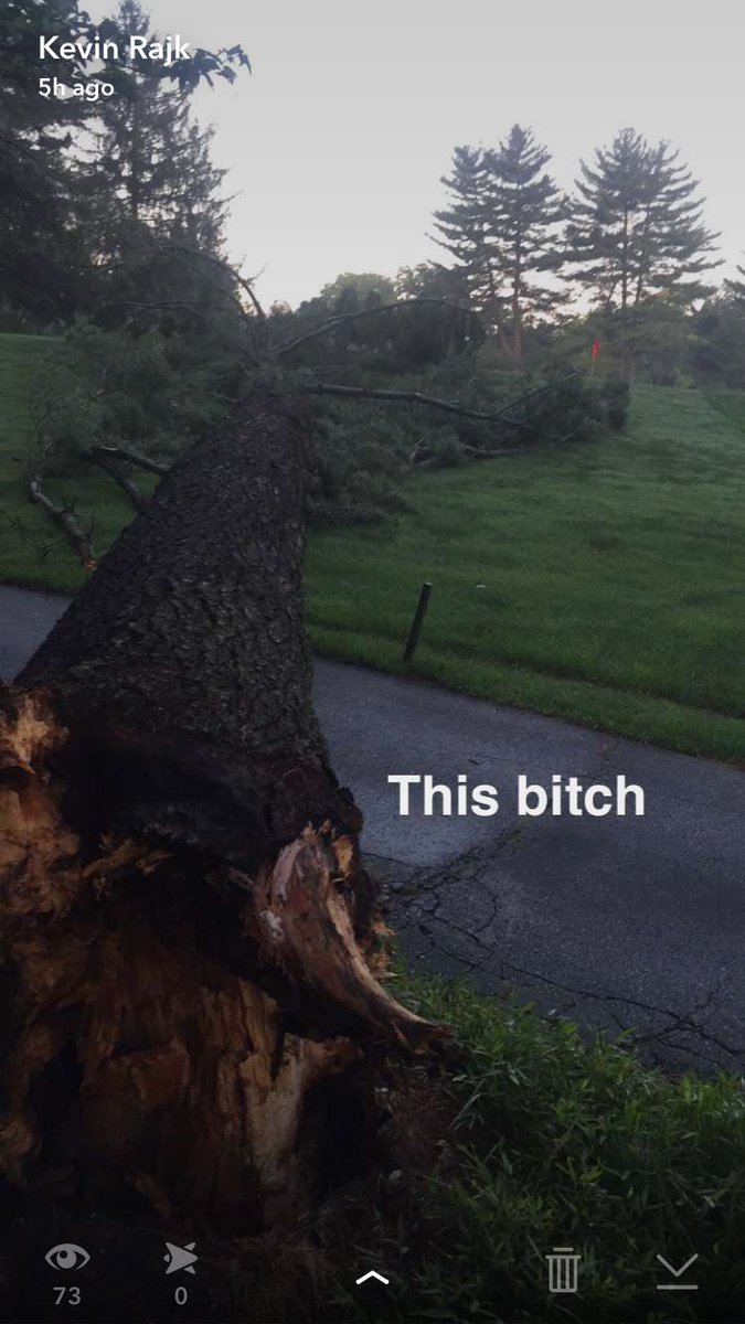 KRTurfRunner's tweet photo. Nothing changes an easy Sunday morning like hearing some one say 'Hey, did you see the big tree that fell?' https://t.co/qCl4a13Bgu
