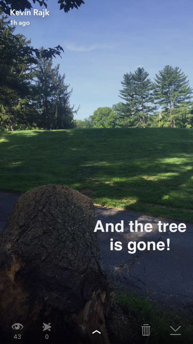 KRTurfRunner's tweet photo. Nothing changes an easy Sunday morning like hearing some one say 'Hey, did you see the big tree that fell?' https://t.co/qCl4a13Bgu