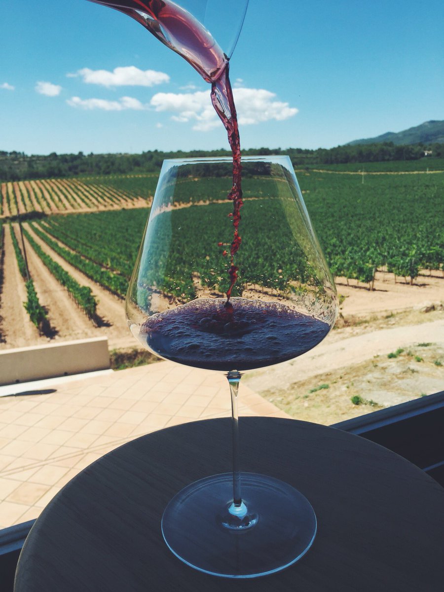 LetsBiteBcn's tweet photo. Descubriendo en exclusiva #LaFreixeneda de la mano de @ClubCuvee y con estas vistas 🍷 #enofoodiemeet #letsbitebcn https://t.co/Jojaa4JhJ7