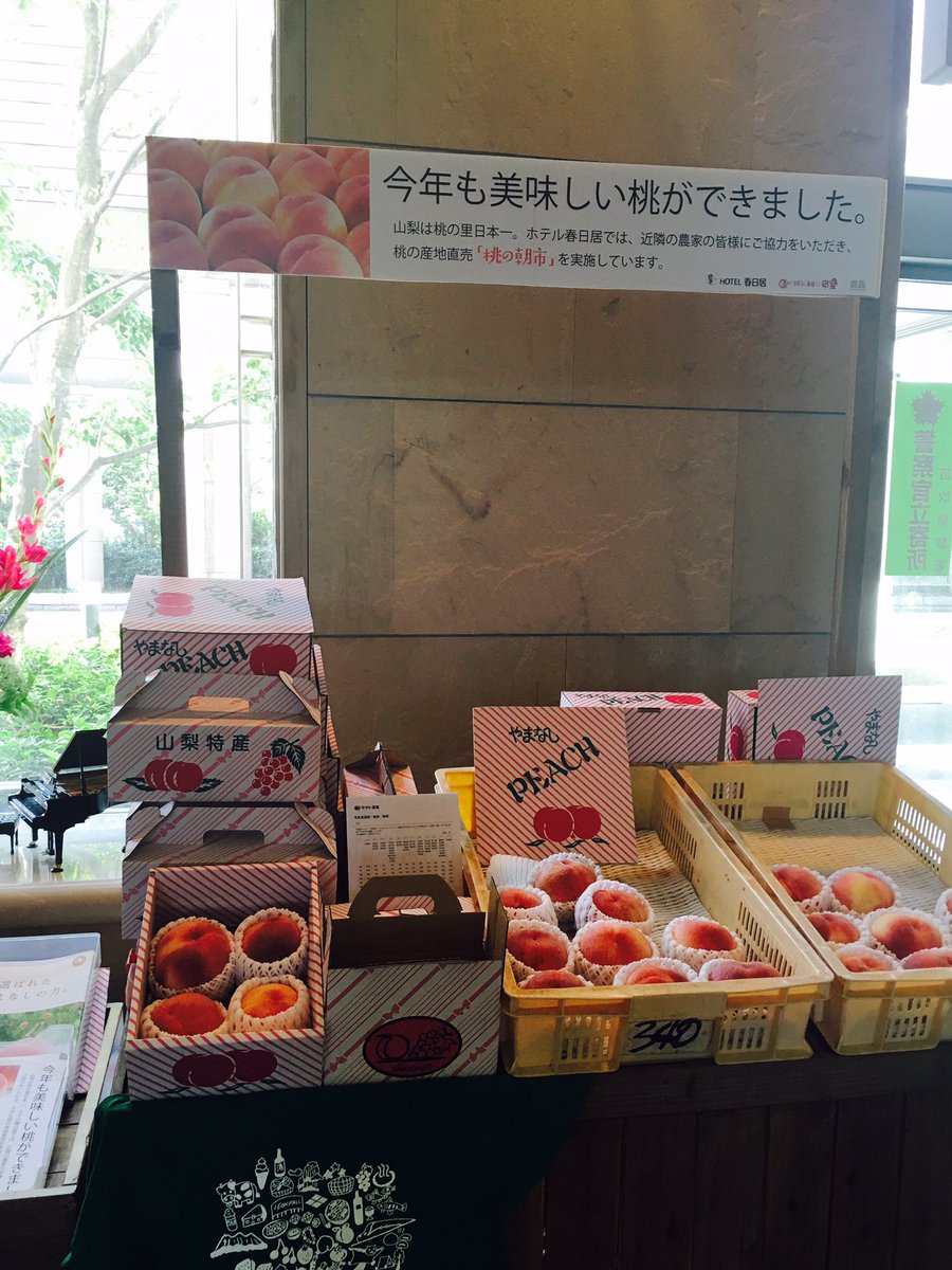 cocstaff's tweet photo. 7月〜８月上旬までホテル春日居にて朝採りの桃を販売中🍑なんと700g級の超超巨大桃もあります！これらは山梨市で昔から夫婦お二人で営んでる中澤農園さんで大切に育てられた桃です(^_^)宿泊者以外の方も購入出来ますので是非ご賞味下さい♩ https://t.co/6rmnzbOvJy