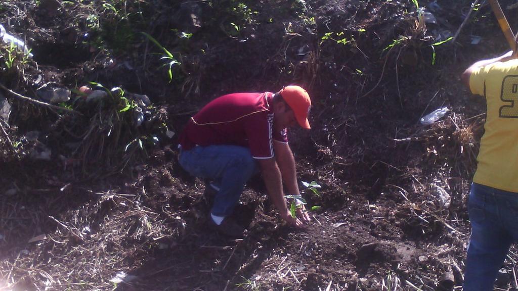 Jorgeher2387's tweet photo. Sembando apamates en la T005, #sanjosecito #torbes #gestionvp https://t.co/gXPcbBCWXN