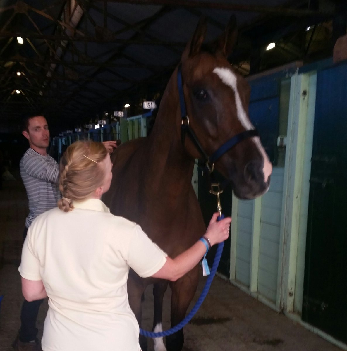 alisondalgarno's tweet photo. #zaidpour @DublinHorseShow remembering the Grade1's @LeopardstownRC @Fairyhouse at least @AP_McCoy got to ride him https://t.co/RH0ymIy9Cu
