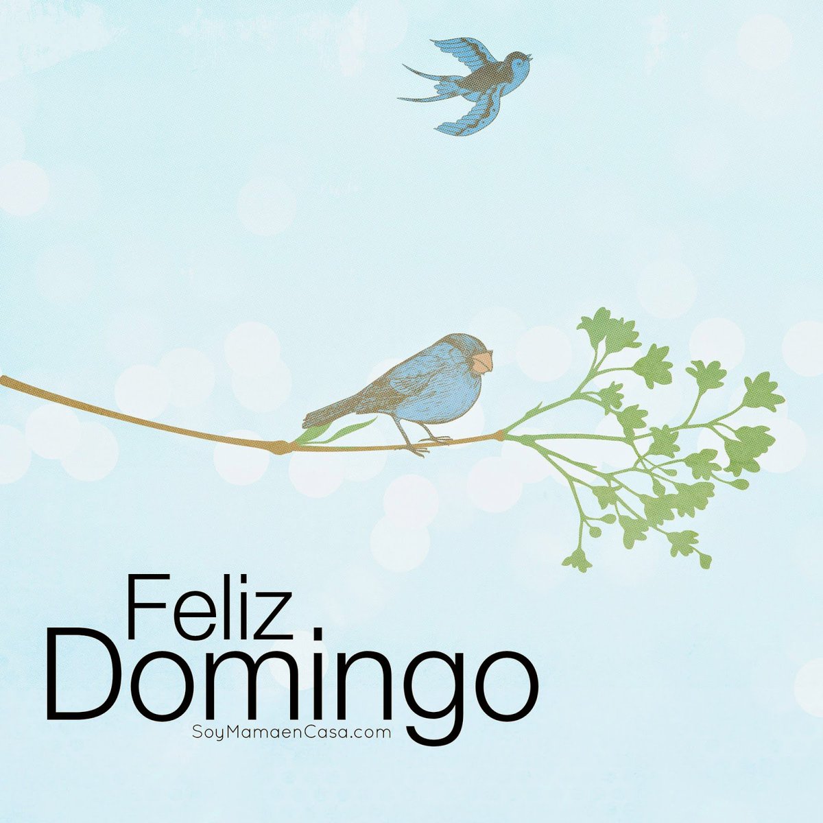 CreandiBlog tweet picture