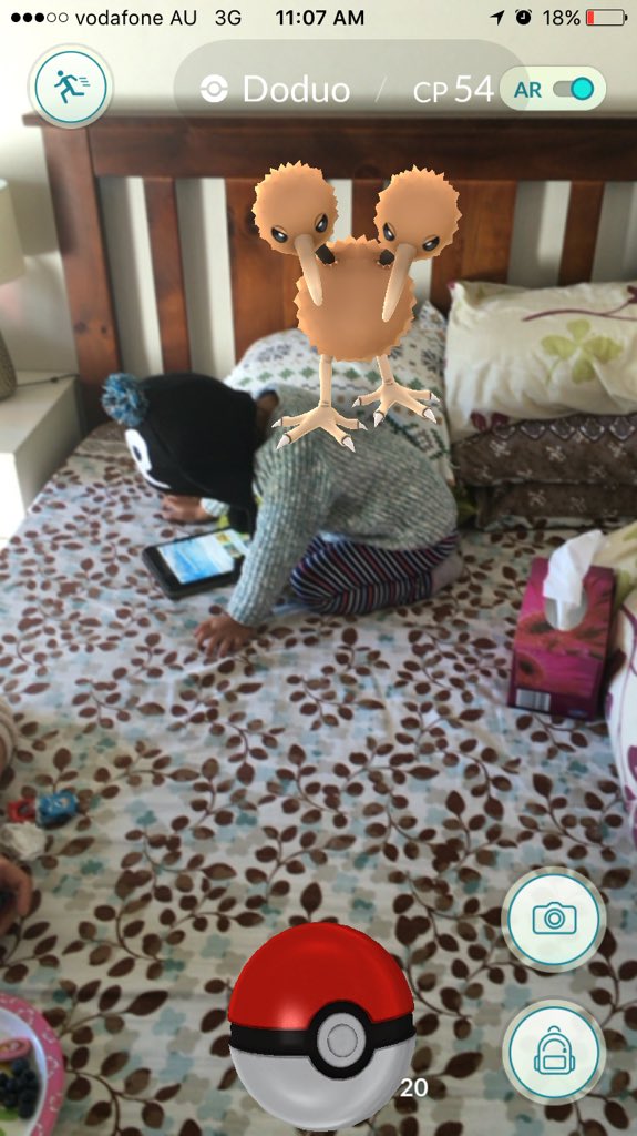 flocoder's tweet image. #doduo on her back #PokemonGO