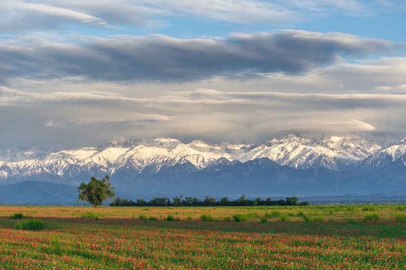 KazakhEmbassy's tweet photo. Follow @Kazakhstan 🇰🇿 this #SundayMorning https://t.co/vJBzQQOgXG