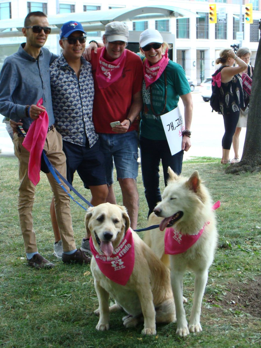 freekoreandogs's tweet photo. Toronto Protest against Korea's dog and cat meat trade. You are amazing. https://t.co/rbeGUWNTCd