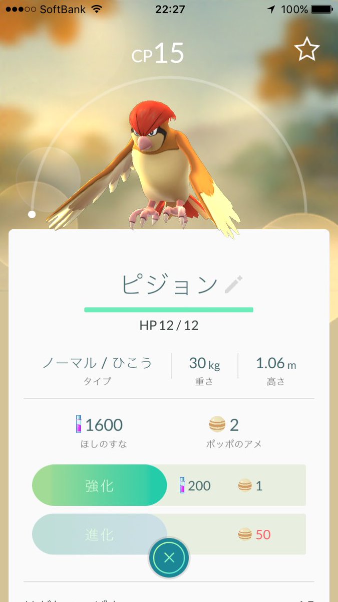 なつみ ポケモンgoやり始めてやっと進化ポケモンget ポケモンgo ピジョン