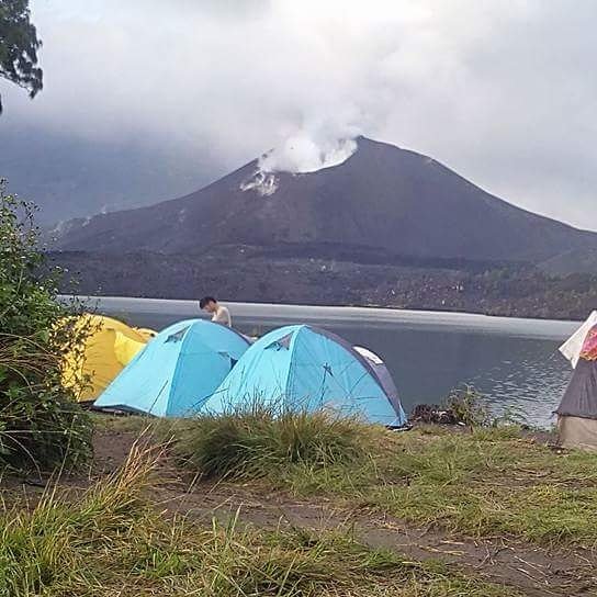 basrinjani tweet picture