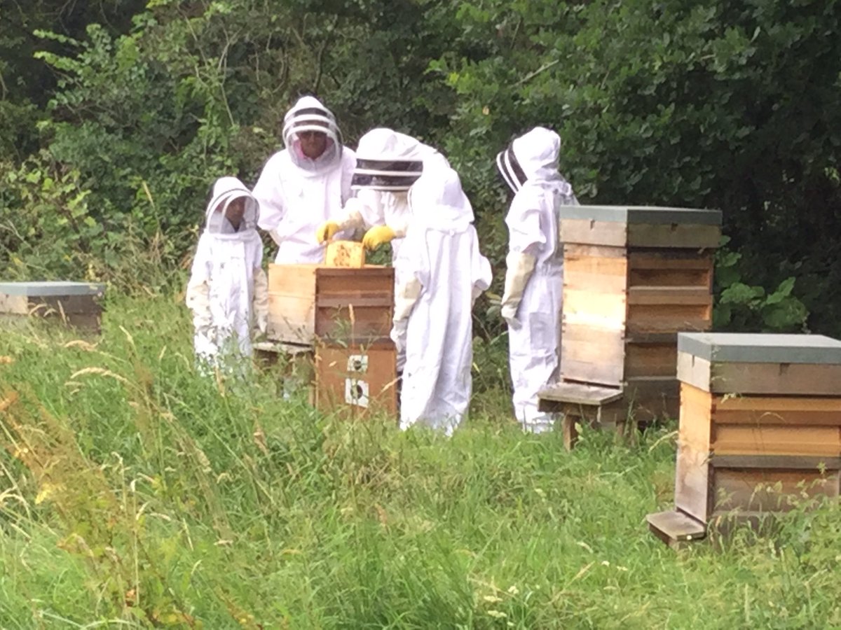 Londonreflex's tweet photo. @ComptonVerney an introduction to #honey bees. Always draws a crowd https://t.co/jkjKFvIJA4