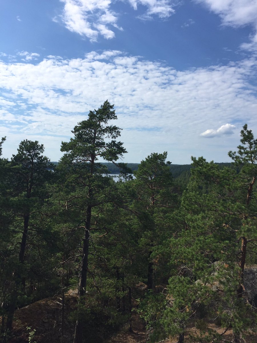 Vandring i #Tivedensnationalpark #Örebrolän är fantastiskt vackert. #sommar2016