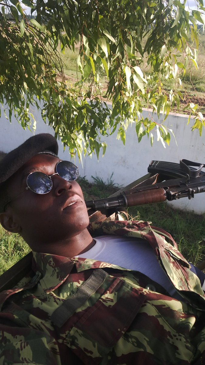 clesiozibia2's tweet image. 