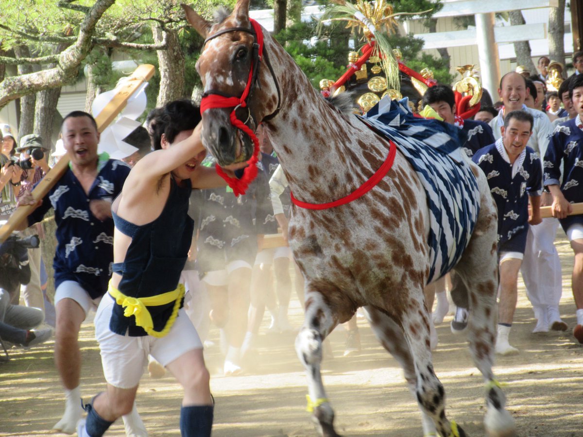 kakukaku9600's tweet photo. 茨城県行方市���生、天王崎八坂神社「祇園馬出し祭」。 https://t.co/A2K6Pyh6Fy