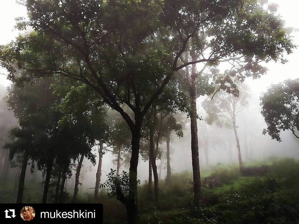 mildwave's tweet photo. Misty dreams.

#SomewhereSometime 
#project365 #day157 https://t.co/35VbQ0pvJs
