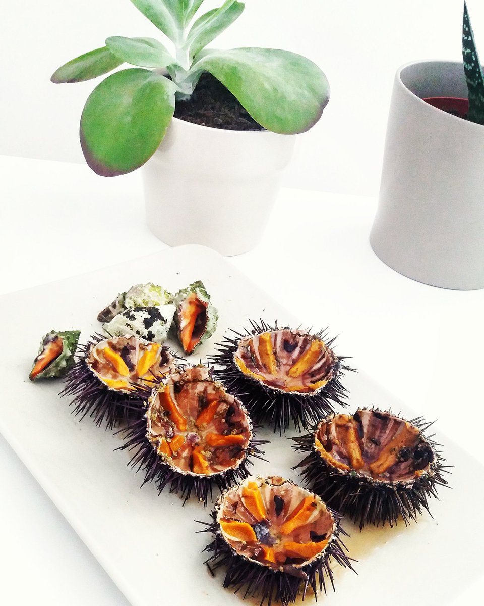 dfranval's tweet photo. #valencia #foodporn #valenciafood #fedfed #gastronomy #Mallorca #summertime #vacaciones https://t.co/Z4XE752Y2a