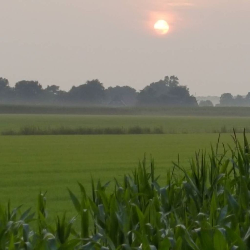 HierAnnelies's tweet photo. Veel vocht in de lucht #eekte #Haarle #heiig https://t.co/2SmeUeiFQh https://t.co/MxgEhT0aUj