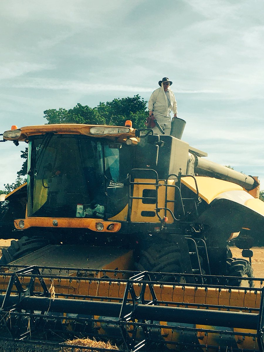 RHeath39's tweet photo. Sun Suit or Barley Dust Suit?#farmlife#harvest #farm24 https://t.co/a28kAvJaRO