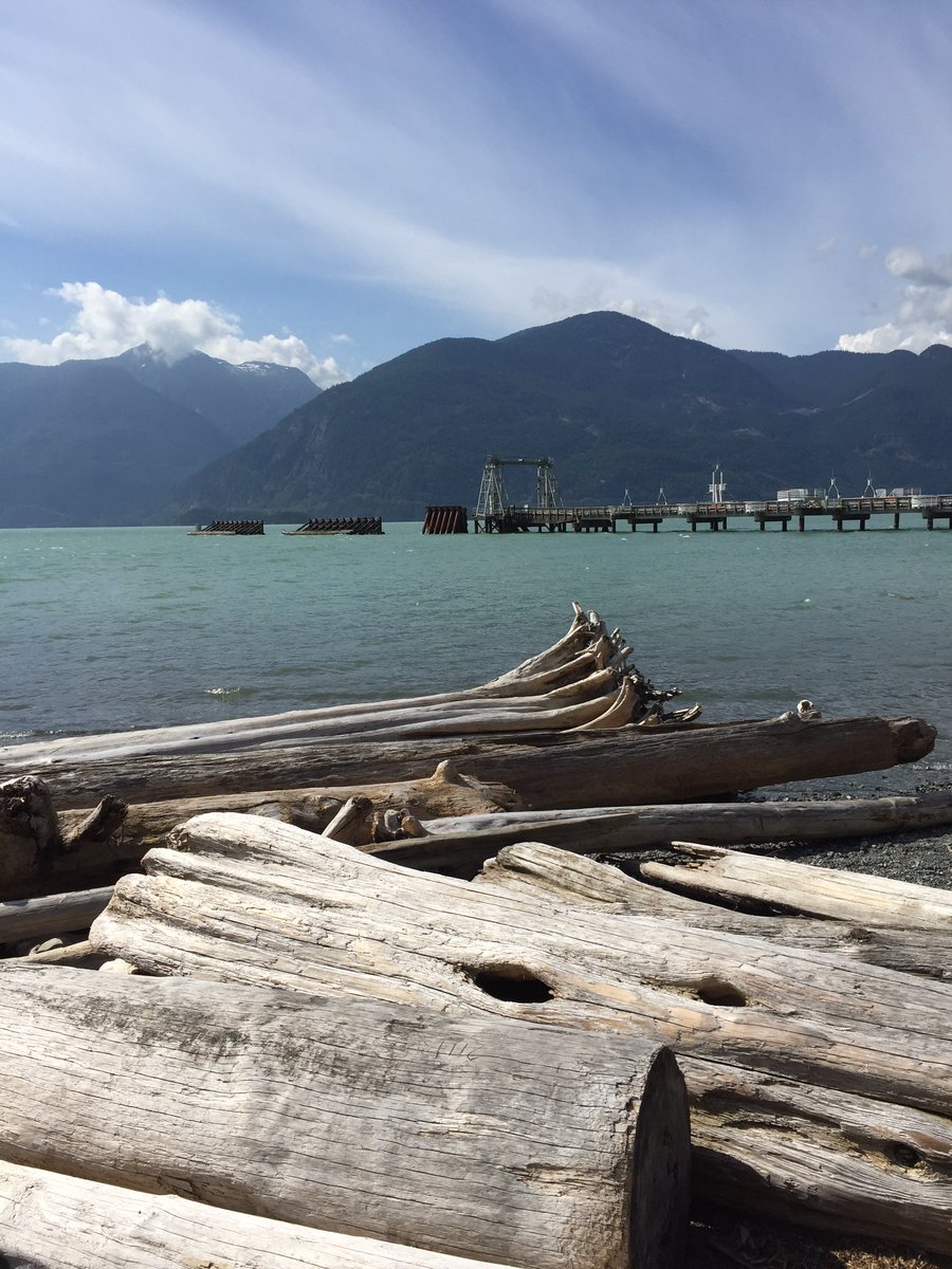 emzartworx's tweet photo. Feel good moments #logjumping #inlet #bcwaters #oceanlove https://t.co/AjowInkaVi