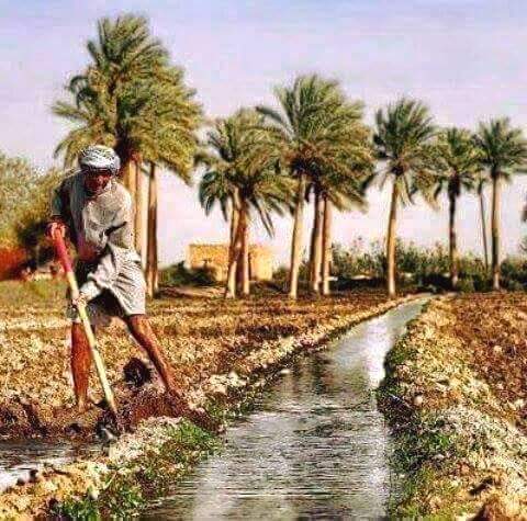 🎶❤مغردماركة❤🎵N❣ tweet media