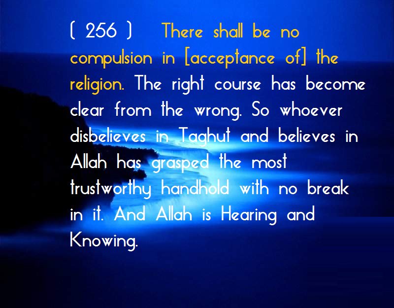 weddode's tweet image. Rtw8.com