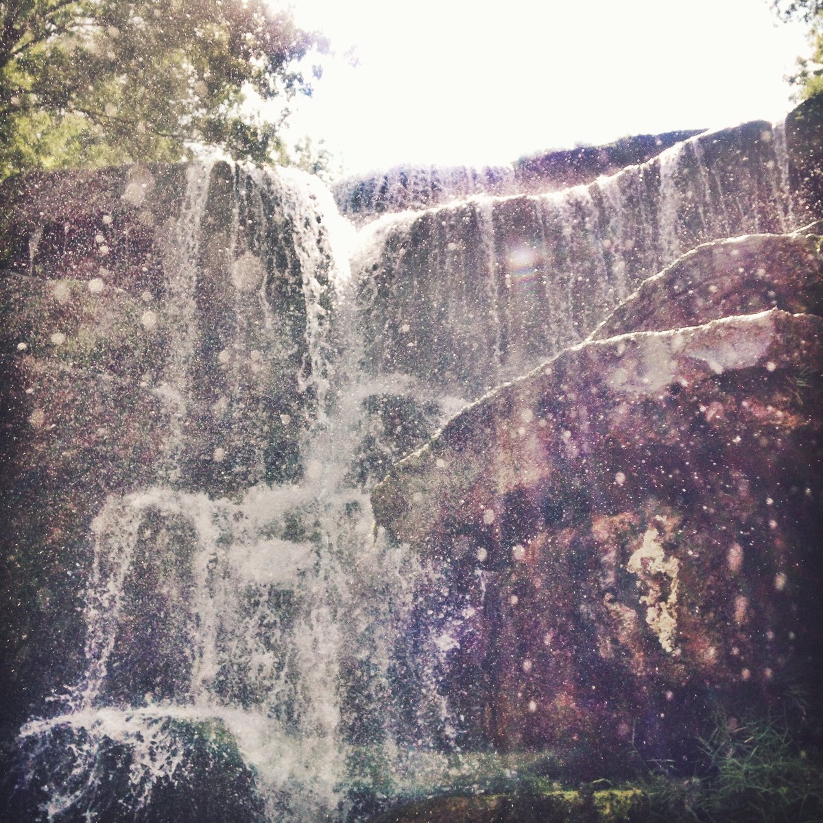 FTRVRYTHNG's tweet photo. Find your happy place. #ftrvrythng https://t.co/bV9JKPvGML