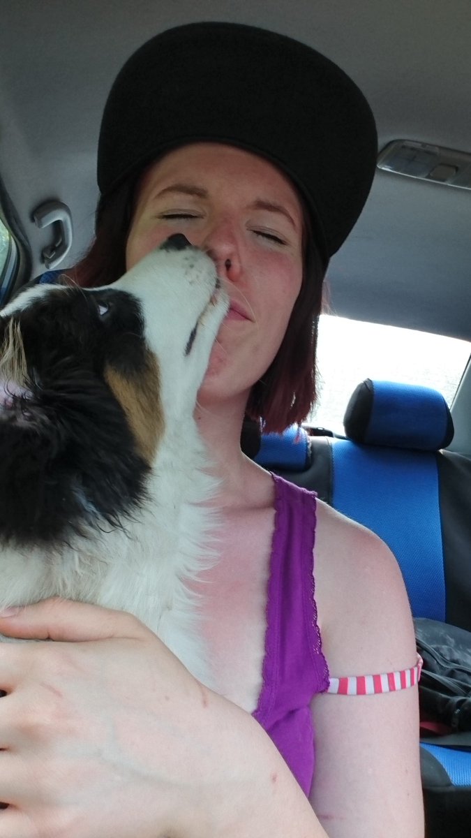 RawryWest's tweet photo. Heute mal bei Frauchen aufm Schoß #vielzuwarm #schlabber https://t.co/gVtw7dEOfg