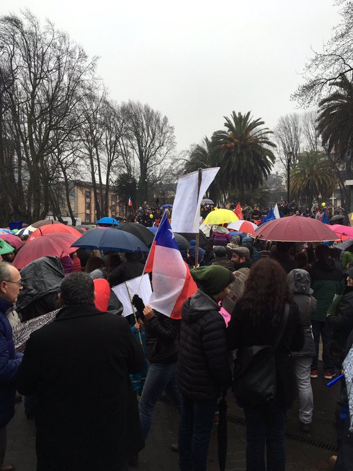 Ver imagen en Twitter