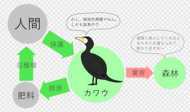 めざせパンフレット 