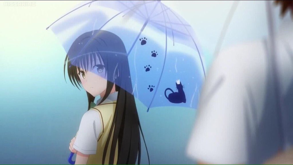 まあや on X: まあや on X: