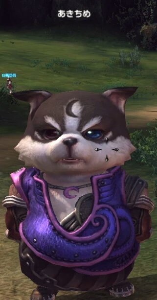 Aktm Aktmjp 16年07月 Page 4 Twilog