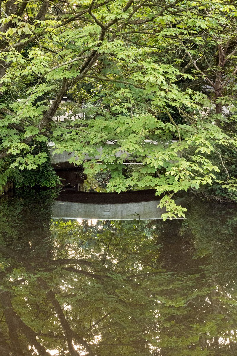 DuurzaamAG's tweet photo. Japanse sferen op #Amstelglorie.
Onvoorstelbaar toch dat Amsterdam overweegt dit plat te bulldozeren? #Torteltuin https://t.co/OnAQyCYKN0