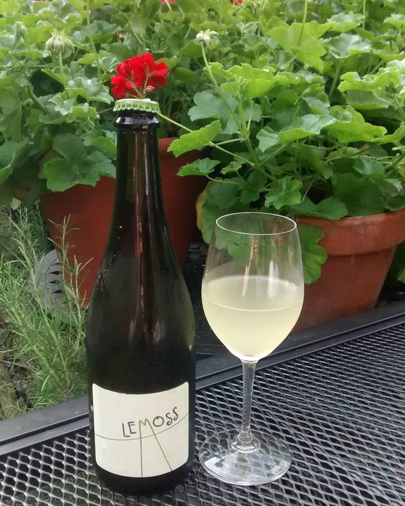 Jeroboams_MH's tweet photo. Hooked on this old style #Prosecco from @redsquirrelwine #nofiltering #cheerssquirrels https://t.co/npyM2IgTPY