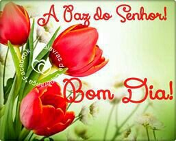 I'm at Parque dos Sonhos in Rio de Janeiro, RJ w/ <a href="/_arthursilvaa/">Tutu !</a> swarmapp.com/c/8LCxXDNOgtw