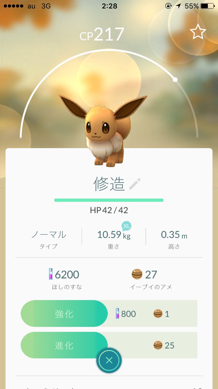 がちゃみ イーブイの名前で進化が変わるという話ですが 修造でブースターになりました お収めください T Co 3ehrwvbbas Twitter