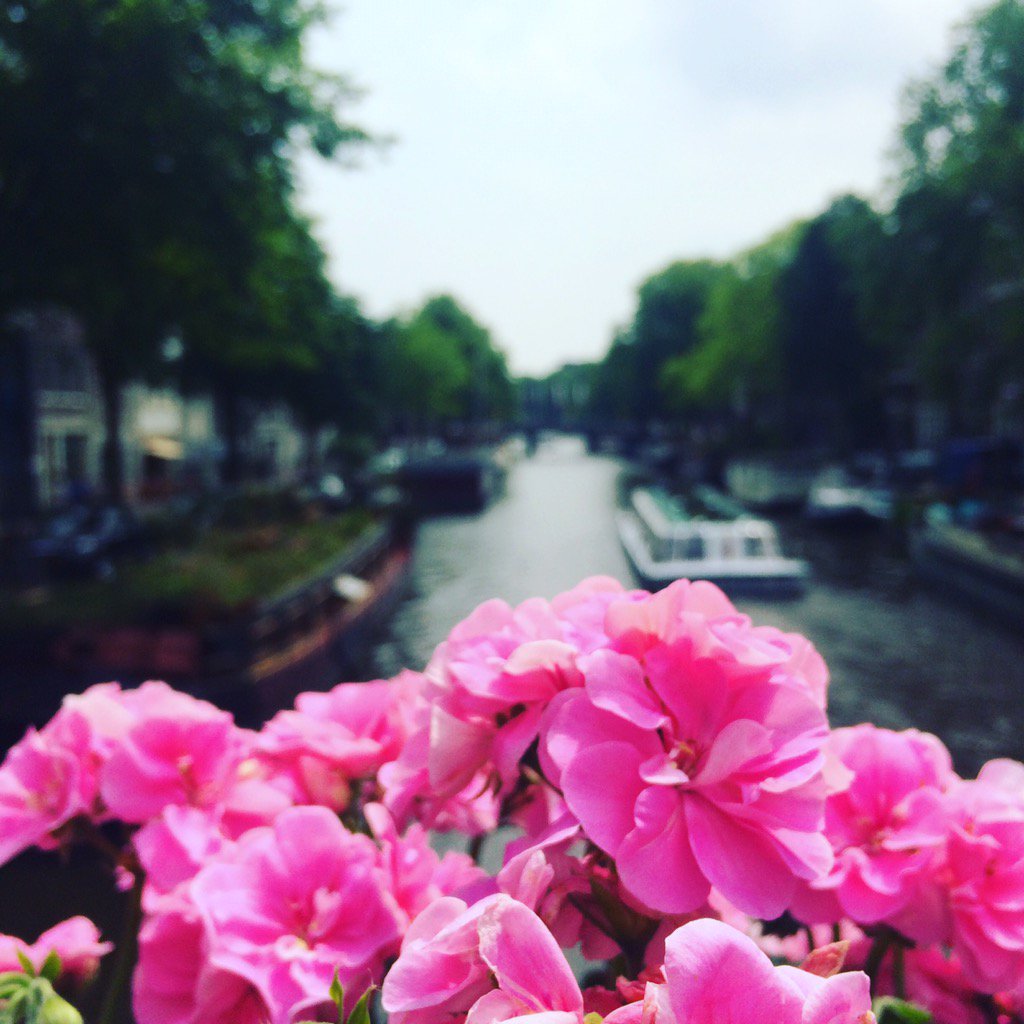 Think I can count going to Amsterdam as a #researchtrip maybe our next show can be about #redlightdistrict? #idyllic
