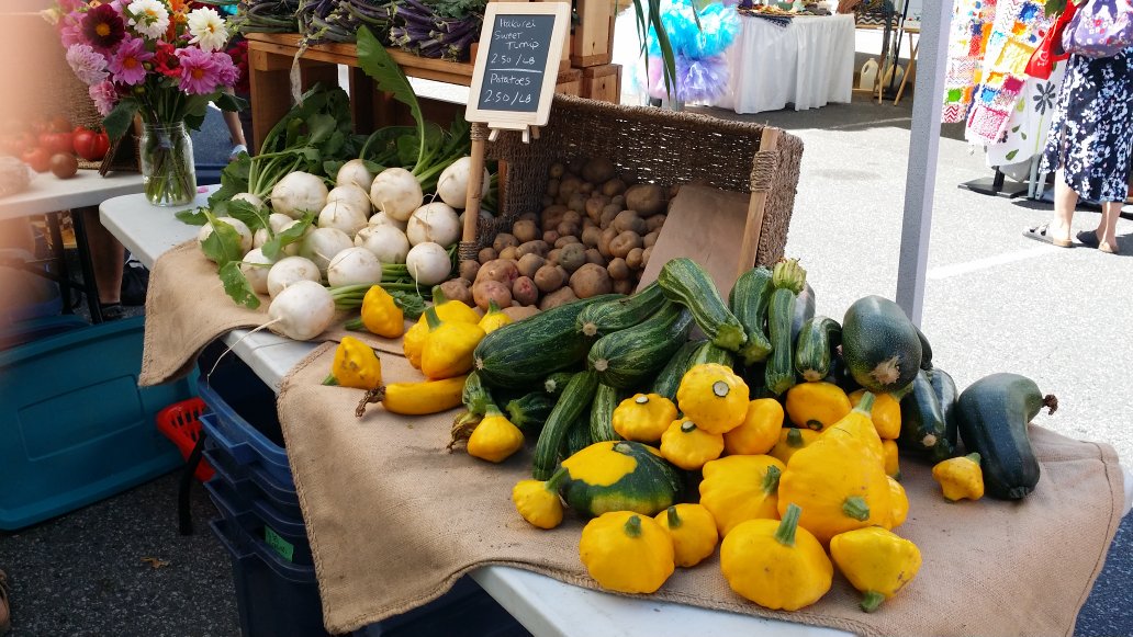 Jim Holt tweet media