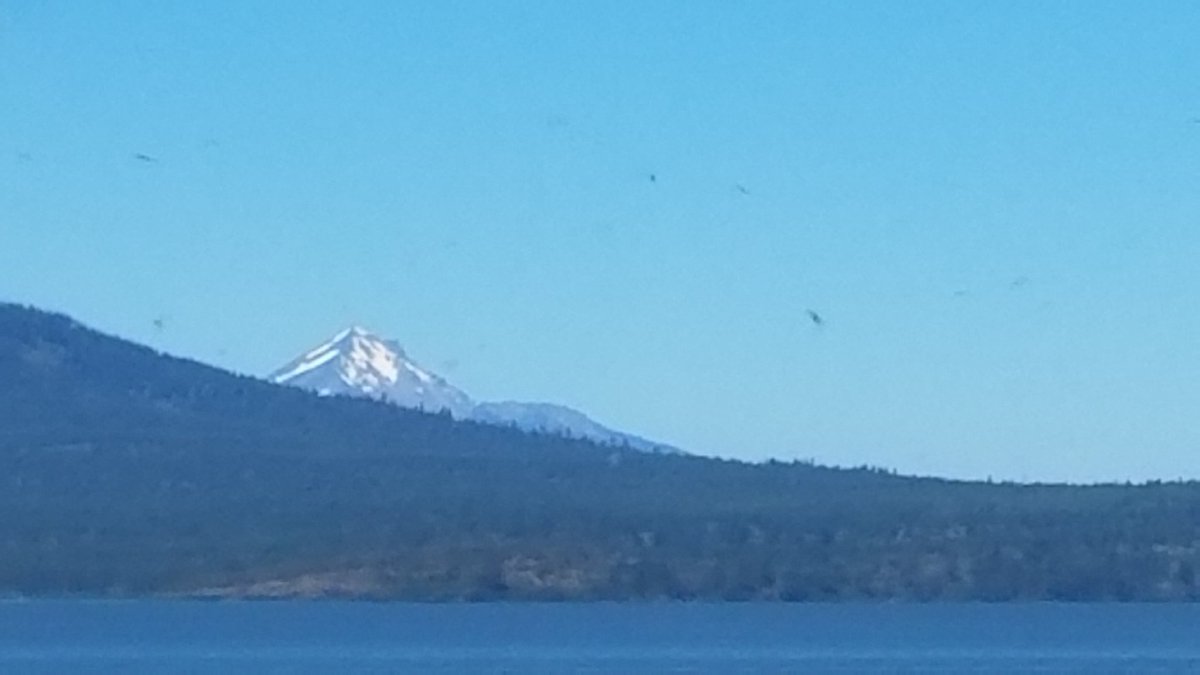 PilatesEngineer's tweet photo. Snow #NEUOREGONECO2016 #bingo https://t.co/YEtzBVREk0