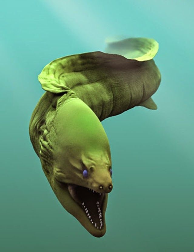 moral eel