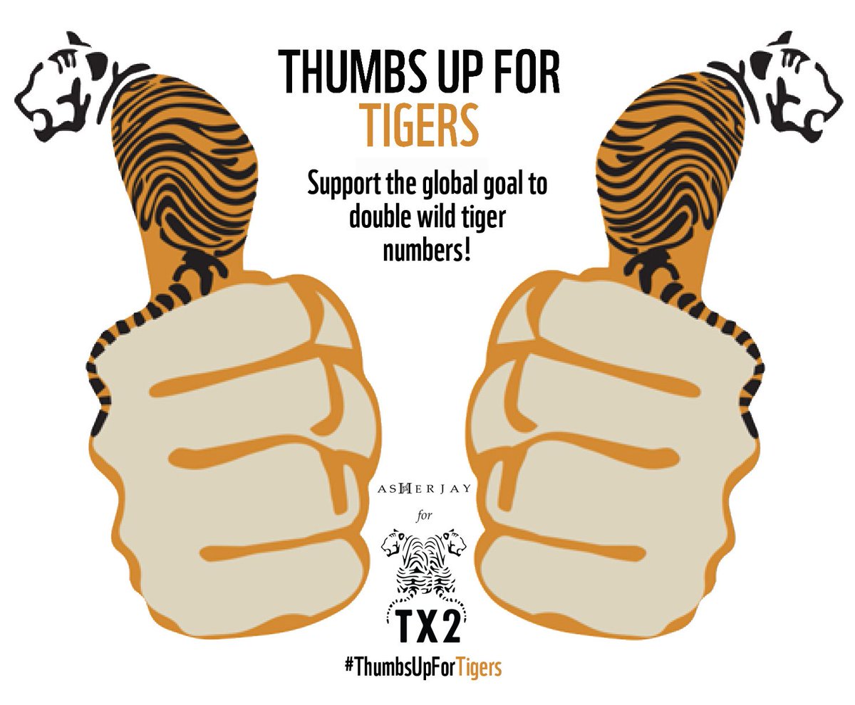 WWF's tweet image. Give your #ThumbsUpForTigers if you want to see wild tiger numbers doubled → bit.ly/2a0GYWt 🐯 x 🐯