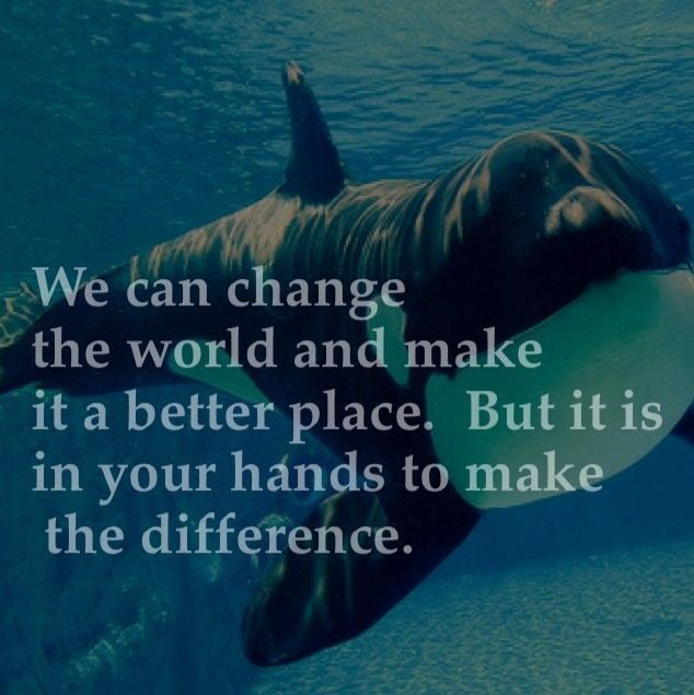 naturalbeings01's tweet photo. #WorldPrayers #Peace #Compassion 4 the #US #AllNations #animalsmatter #AllLivesMatter #WeAllmatter https://t.co/5DEWncNaXd