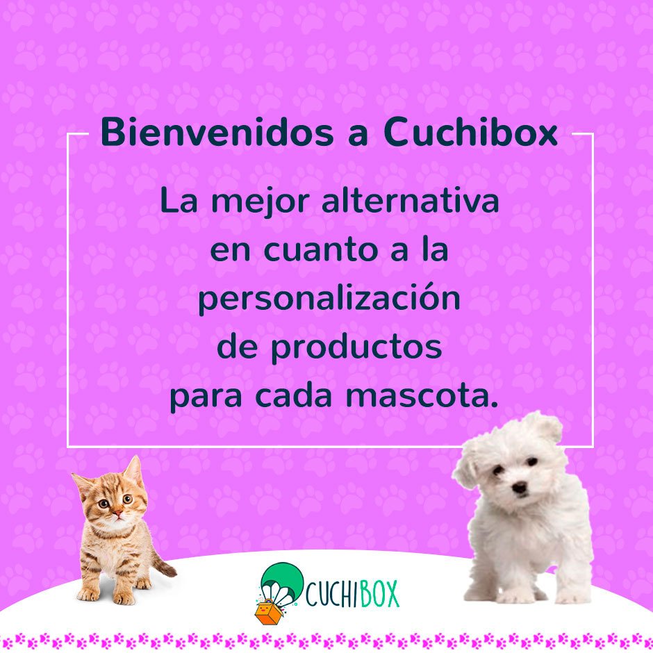 cuchibox's tweet photo. Somos la mejor alternativa para consentir a tu mascota, próximamente en https://t.co/Ni9Ugq2Dyq #MascotasPanama https://t.co/pMFh6AmcL8