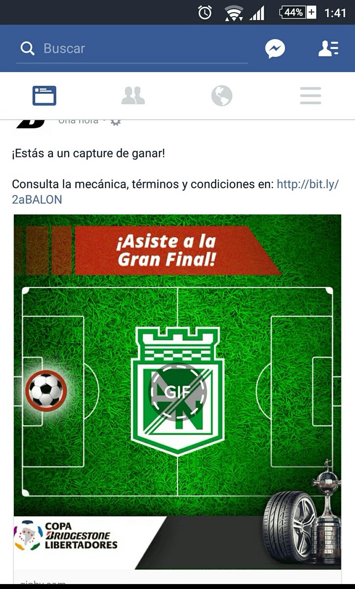 Laura Peláez Arenas tweet media